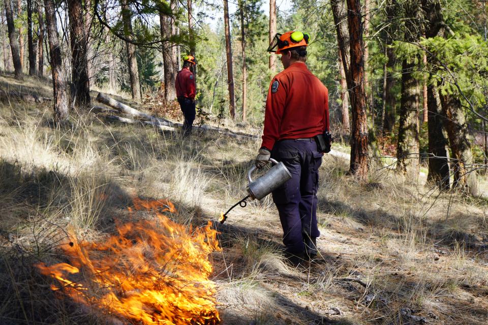Fire mitigation work at Jack Seaton Park