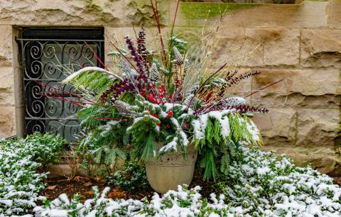 Outdoor Winter Planter
