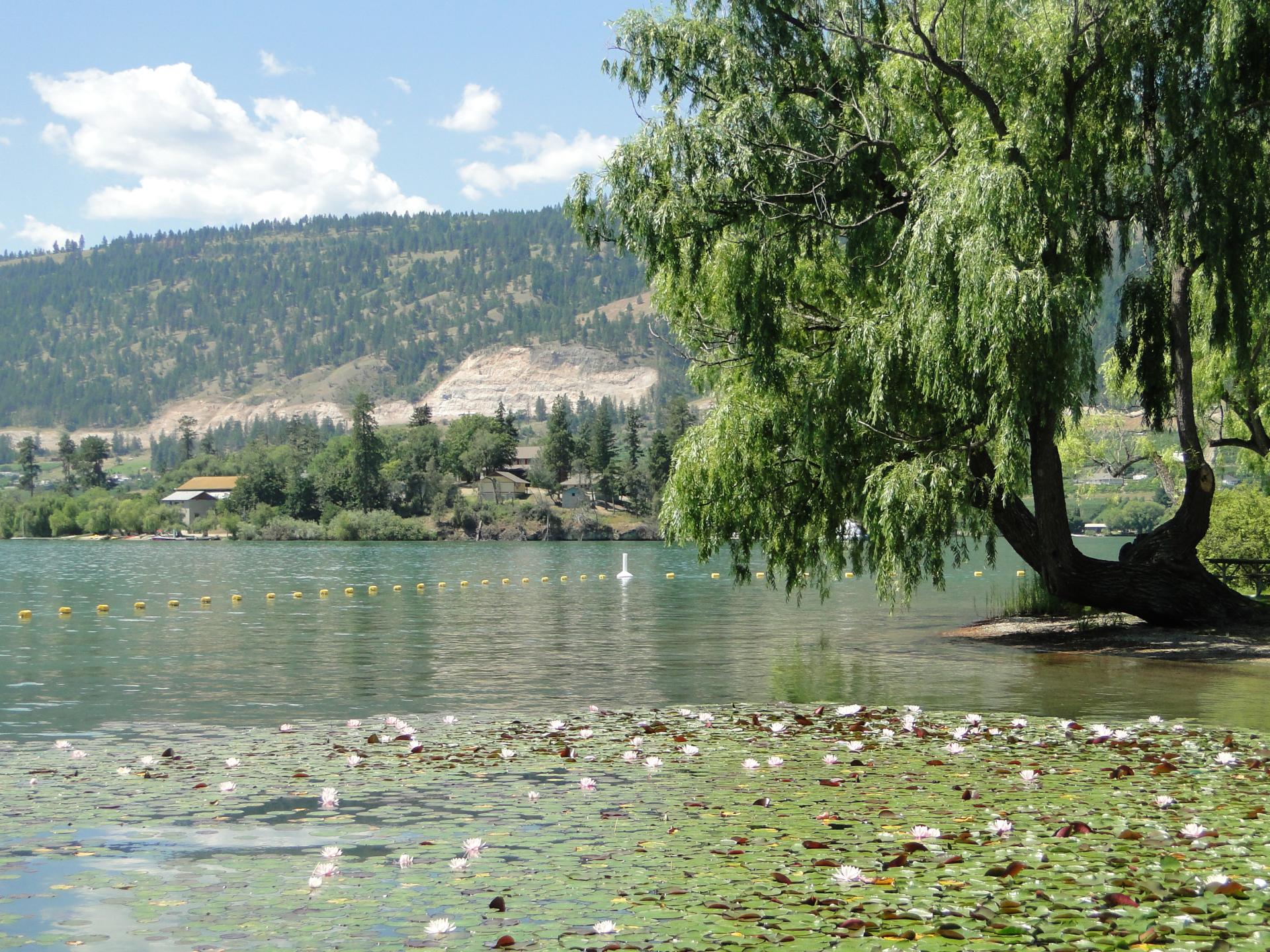 park along Kalamalka Lake